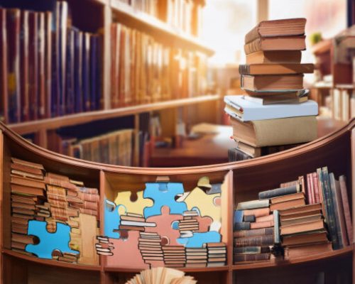 Firefly-bookshop-image-with-books-and-puzzles-4874-e1722852736883
